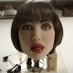 The Realbotix project aims to create a sexbot with the illusion of sentience.