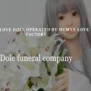 Mourn your artificial companion Sexdoll
