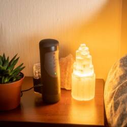 The Handy penis stroker sitting on a bedside table next to a cactus and soothing warm lamp.